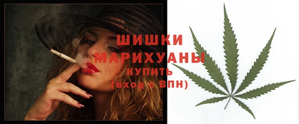 мяу мяу мука Бородино