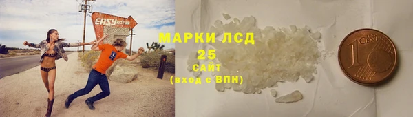мяу мяу мука Бородино