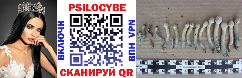 купить наркоту  Орехово-Зуево  Галлюциногенные грибы GOLDEN TEACHER 
